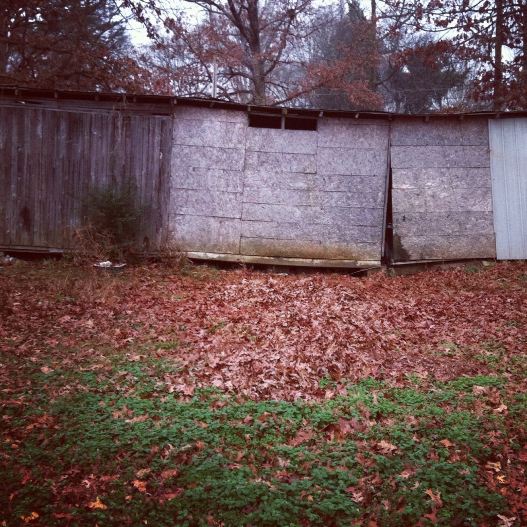 Shed in QCS