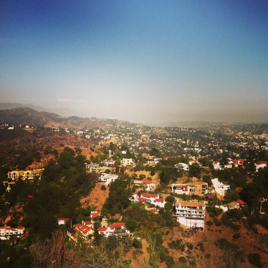 View of the Hollywood Hills from Runyon Canyon